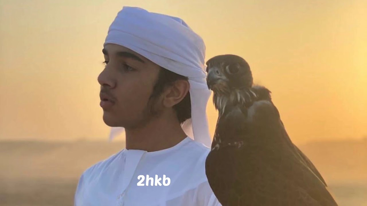 عيضه المنهالي - راحة البال