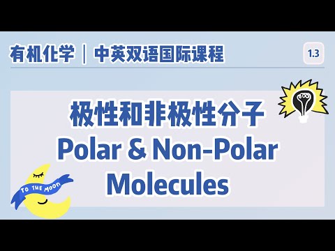 【中英双语国际课堂-有机化学】如何区分极性和非极性分子？ (含例题) | Polar and Non-Polar Molecules with Examples