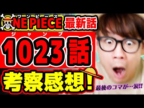 【 ワンピース最新1023話 】キングとゾロサンジのあの情報が激ヤバすぎる！モモの助のアレも胸アツすぎぃいな回！ONE PIECE ※ジャンプ最新話ネタバレ注意 考察