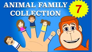 Finger Family Collection - 7 Animal Finger Family Songs - Daddy Finger Nursery Rhymes