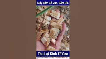 ✅Máy Băm Dăm Gỗ, Bìa Thừa, Tận Dụng Phế Liệu Gỗ Thải Loại Bán Với Giá Cao/ Cơ Khí Hồng Nho