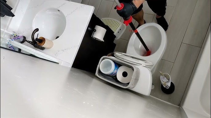 Unclogging a Toilet with a Snake – Bio Bidet by Bemis