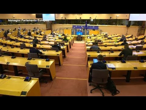 Gaffe di Giarrusso al Parlamento europeo: non riesce a parlare in inglese e rinuncia...