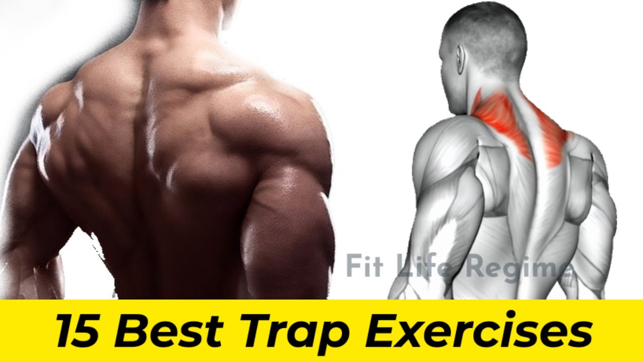 🔥The Best Trap Workouts & Exercise Guides - weighteasyloss.com - Fitness  Lifestyle, Fitness and Bodybuilding …