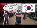 Visiting the motherland south korea