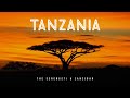 TANZANIA: The Serengeti & Zanzibar | The Full Video 2020