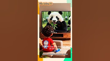 🐼 “Gấu Trúc Bị Thương Được Cứu – Và Cái Kết Ấm Áp Trong Ngôi Nhà Tre” #cartoon