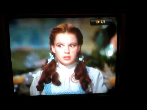 Dorothy in Wonderland
