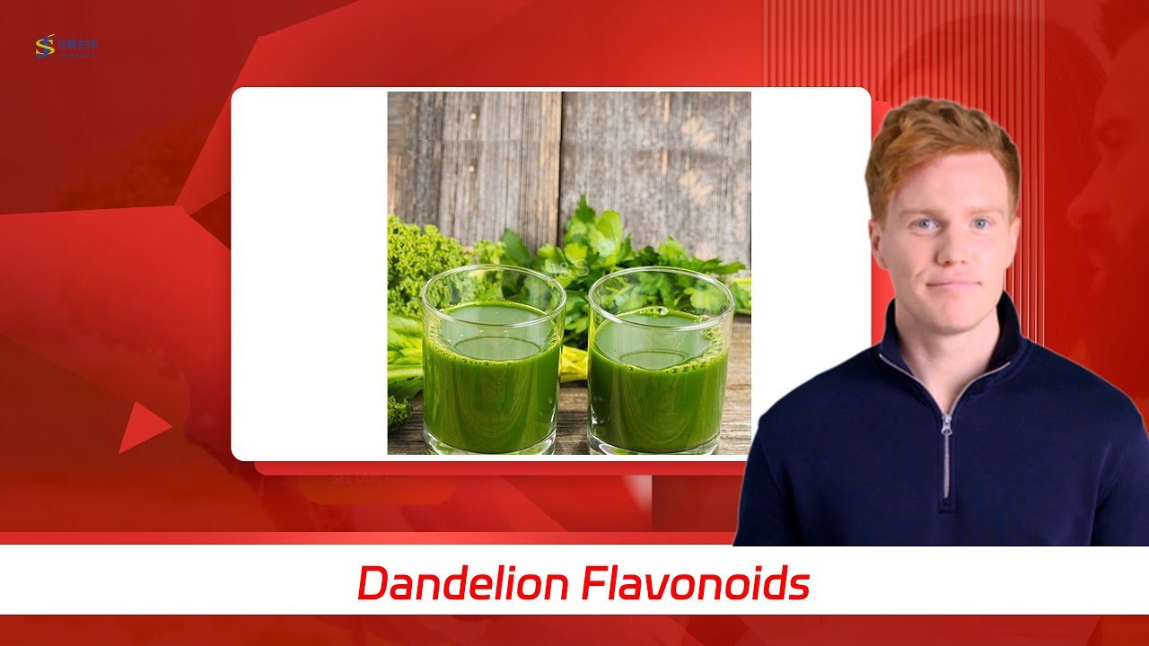 Dandelion Flavonoids YouTube