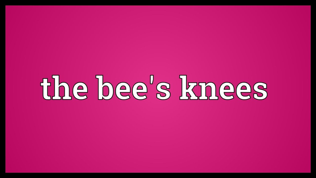 The bees knees meaning