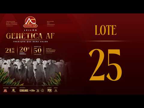 LOTE 25 ARFS  244