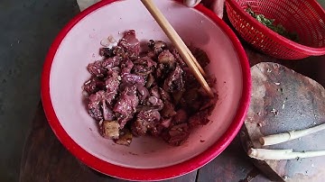 SÓC CHUỘT RỪNG XÀO LÁ LỐT