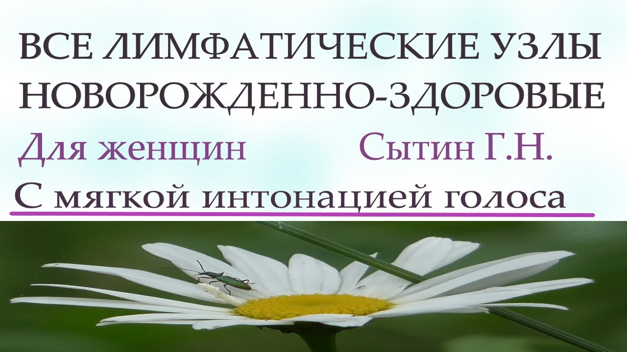 Исцеление сытина для женщин. Настрои Сытина на оздоровление. Сытин настрои онкология. Настрои Сытина на оздоровление нервной системы. Сытин мысли исцеляющие от онкологических заболеваний.