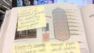 Chapter 19 Sticky Notes pgs 518-531 SA