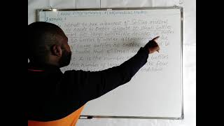 Linear Programming - Mathematical Models Ex1