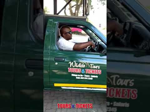 TOP ACTIVITIES IN HAZYVIEW MPUMALANGA SOUTH AFRICA