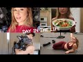 DAY IN THE LIFE (GYM, WORK, DIET)