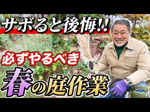 私が実践した庭を簡単にプロ並みにする5つの方法