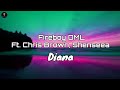 Fireboy DML - Diana (Lyrics) ft Chris brown and Shenseea