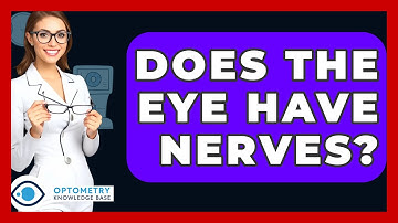 Does The Eye Have Nerves? - Optometry Knowledge Base