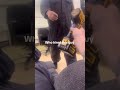 Who Hired Them 😂 | #lol #funny #hilarious #memes #funnyvideo #funnymemes #comedy #funnyshorts