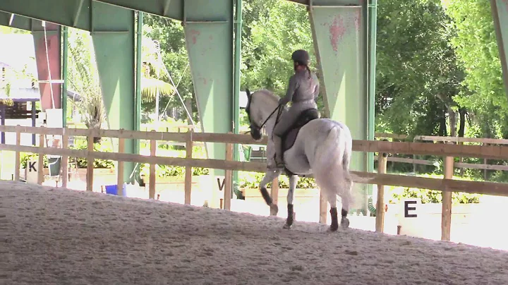 Piaffe, Passage, Pirouettes and changes, Heather B...
