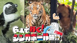 シンガポールの動物園が自由すぎる！！【シンガポール旅行Part2】