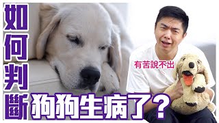 這些求救訊號別輕忽如何判斷狗狗生病了Your Dog May Be Sick@usersh1cx8us5g