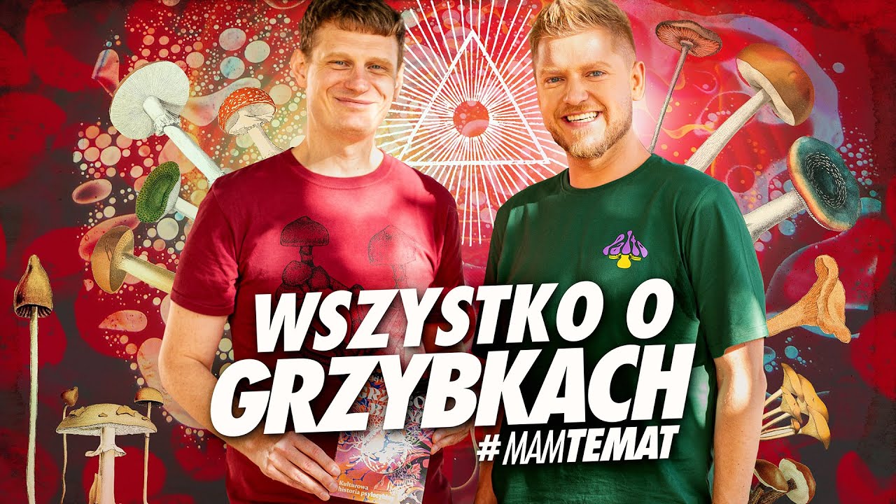 Grzybki: wszystko, co musisz wiedzieć! | Maciej Lorenc #MamTemat 41