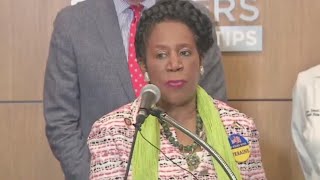 How does Sheila Jackson Lee stack up against other mayoral candidates?