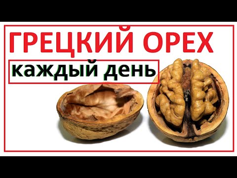 ЧТО БУДЕТ если ГРЕЦКИЙ ОРЕХ есть КАЖДЫЙ ДЕНЬ?