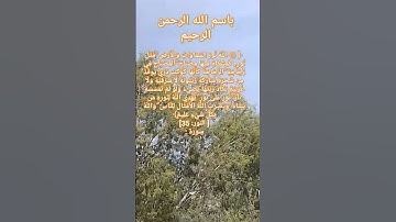 #الله نور اللسماوات والارض #تلاوة_خاشعة #ياسر_الدوسري #قرآن #اذكار #اكسبلور #viral #reels