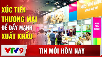 Xúc tiến thương mại để đẩy mạnh xuất khẩu | Tin mới hôm nay