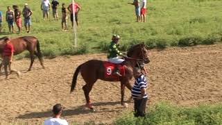 Grozdevo Koshiya Na Yashar 2017 Dvd 1