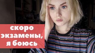 ЕГЭ на 100 за 3 месяца / что делать за 3 месяца до ЕГЭ/ОГЭ / ничего не знаю перед экзаменом