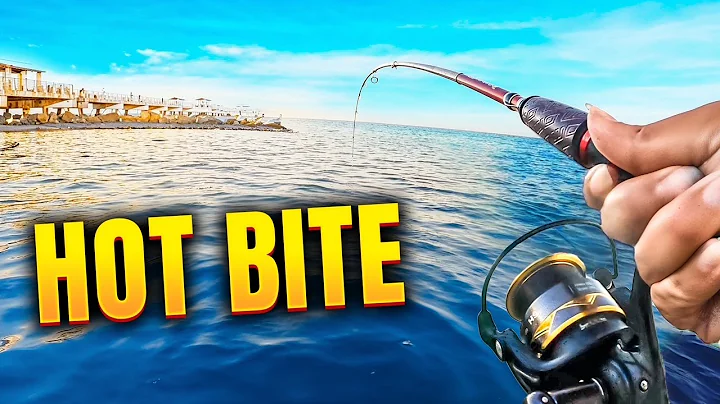 We Couldn't Stop Catching Fish! Insane Florida Shore Fishing!