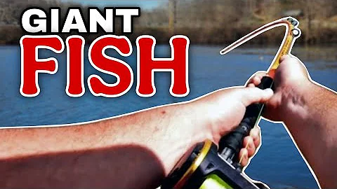 When the BAIT'S TOUGH the FISHING'S GREAT