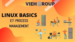 E7: Basic Commands in Linux | Process Management