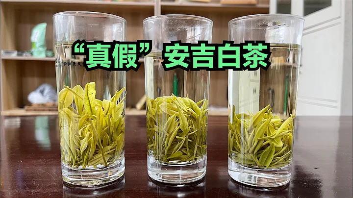 茶葉就是外行看熱鬧，內行看門道，深入解說“安吉白茶” - 天天要聞