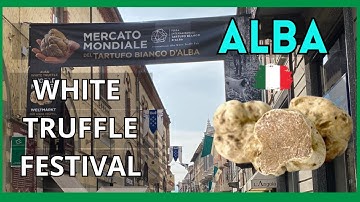 White Truffle Festival | Tartufo Bianco d