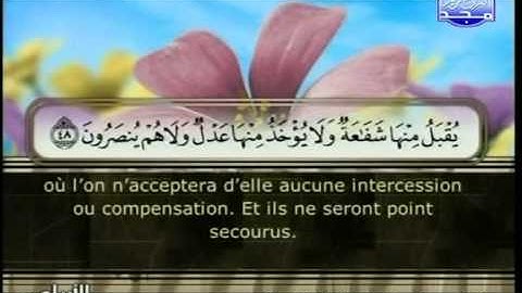 ختمة الأرباع | لكل قارئ ربع - الجزء الأول