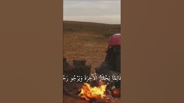 سورة الزمر أحمد بن طالب. #المصحف #القرآن_الكريم #أحمد_بن طالب