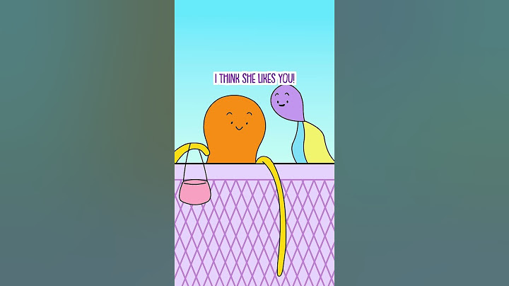 When you want to adopt an introvert #Shorts