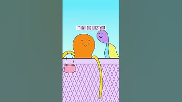When you want to adopt an introvert #Shorts