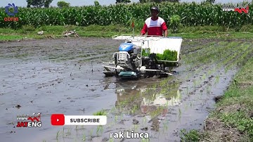 MAXXI: MAXXI PF48 Rice Transplanter Tanam Padi Lebih mudah