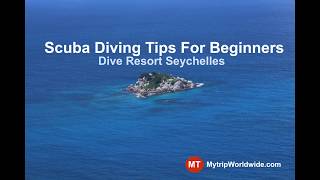 Scuba Diving Tips For Beginners