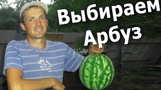 Как правильно выбрать спелый арбуз!(Выбираем спелый арбуз на бахче)(Выбираем спелый арбуза на бахче! Сегодня 31 июля, начинает массово спеть арбуз. Решили дать пару советов,..., 2015-08-01T09:00:03.000Z)