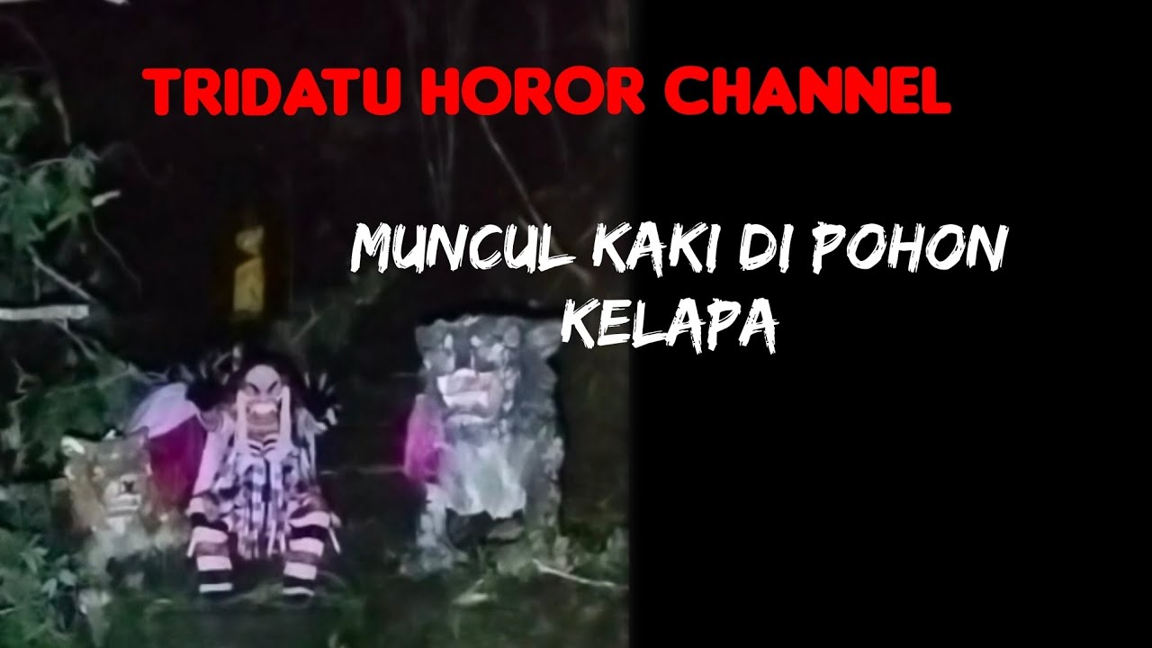 MUNCUL SOSOK  KAKI BERJALAN DI POHON KELAPA