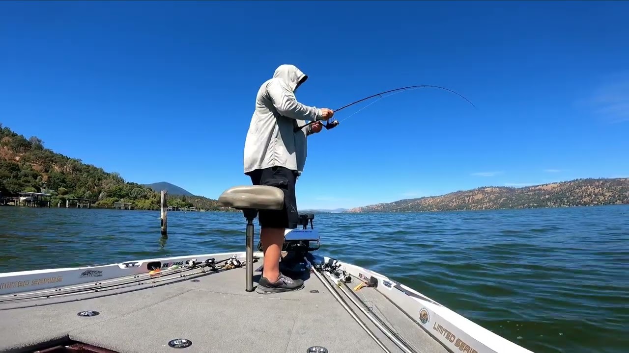 Bass fishing isn't the only reason Clear Lake Ca is amazing.