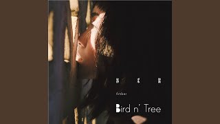 Download Lagu Bird n' Tree Download Lagu Bird n' Tree